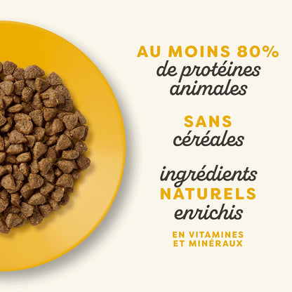 Ração de frango para gatos bebés