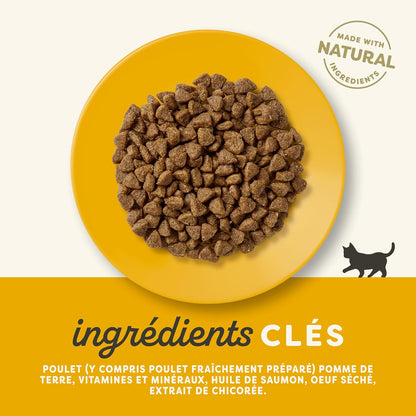 Ração de frango para gatos bebés