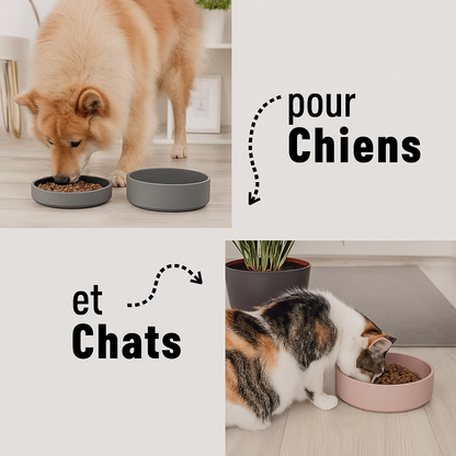 Silicone bowl with lid