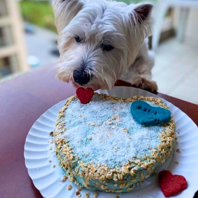 Confezione regalo con torta al pollo da cuocere per cani