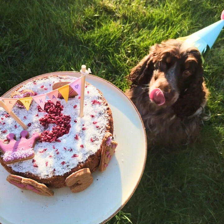 Confezione regalo con torta al pollo da cuocere per cani