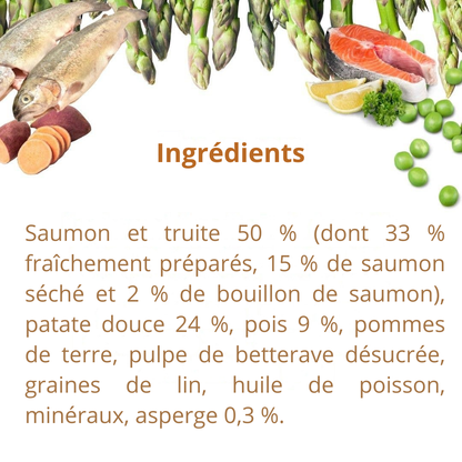 Trockenfutter mit Lachs und Forelle für ausgewachsene Hunde