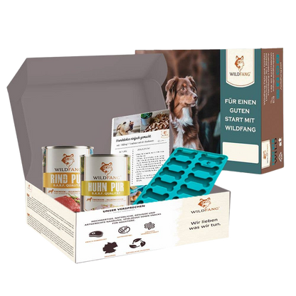 Kit per la preparazione di biscotti fatti in casa per cani