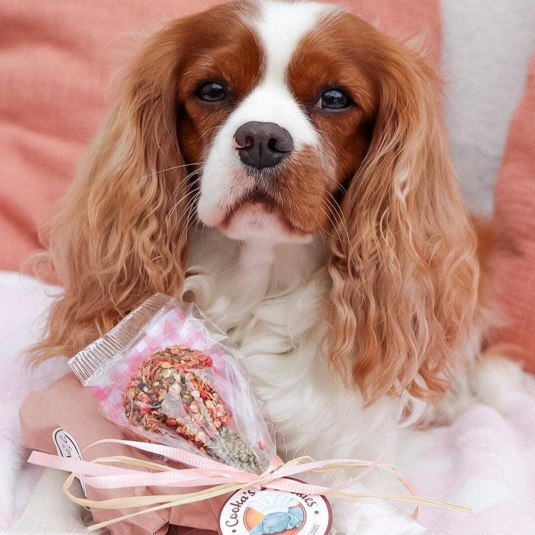 Leckerli mit Pute und Seehasen für Hunde