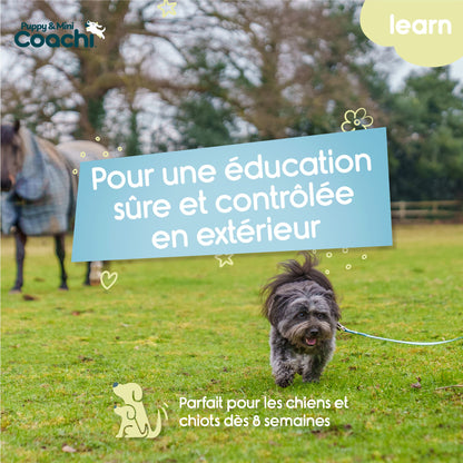 Longe waterproof pour chiots et chiens de petite taille