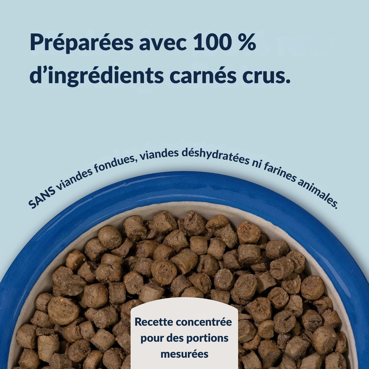 Croquetes de vaca e verdinho do Sul para gatos