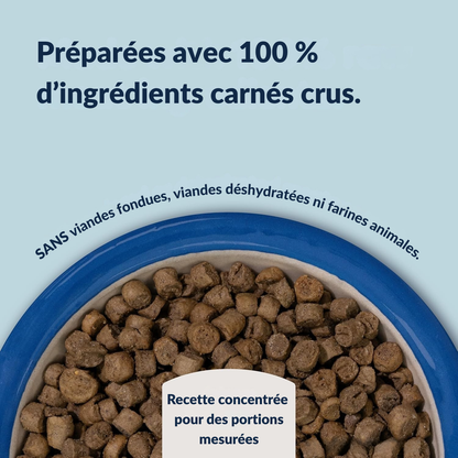 Croquetes de vaca e verdinho do Sul para gatos