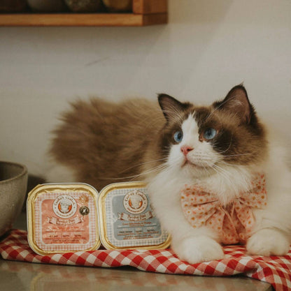 Paté de ternera y aceite de salmón