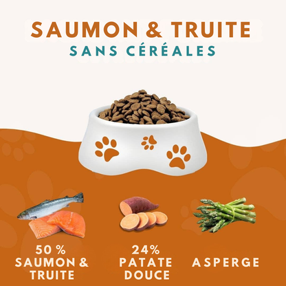 Trockenfutter mit Lachs und Forelle für ausgewachsene Hunde