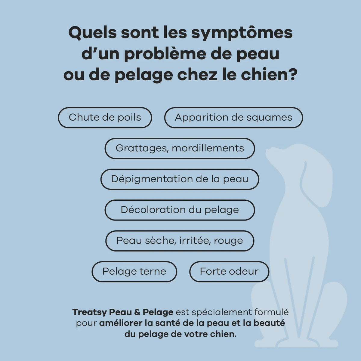 Chicken-based skin and coat supplement for dogs
