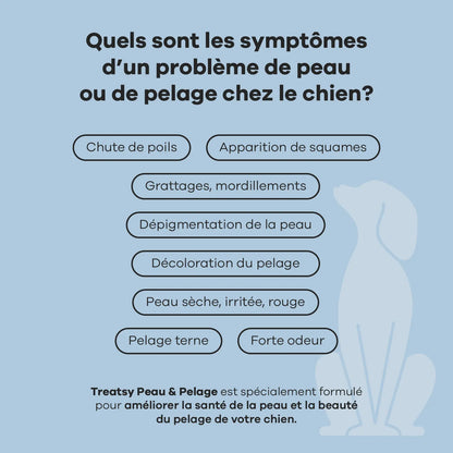 Chicken-based skin and coat supplement for dogs