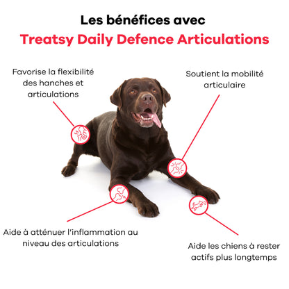 Integratore alimentare per le articolazioni dei cani