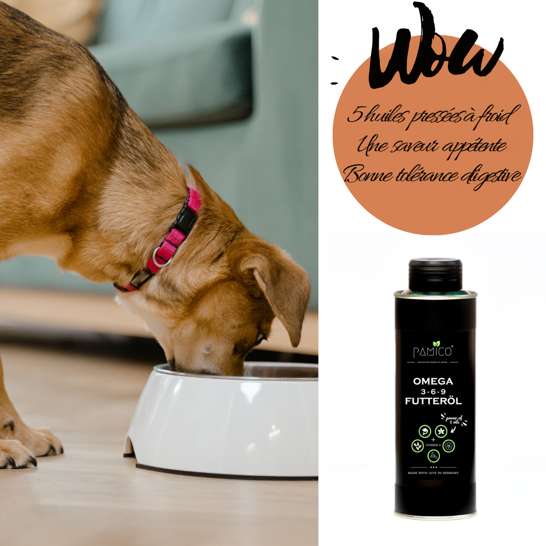 Omega-3-6-9-Speiseöl und Vitamin E für Hunde