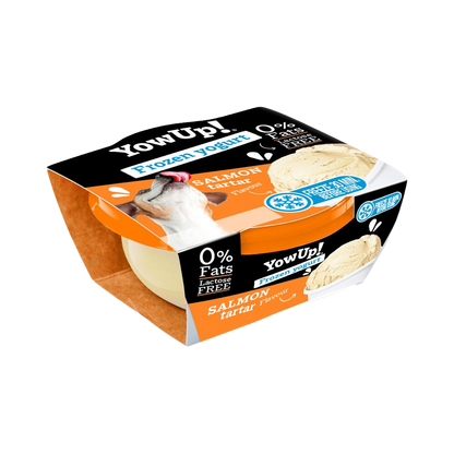 Laktosefreier Joghurt zum Einfrieren mit Lachs-Tartar-Geschmack für Hunde und Katzen