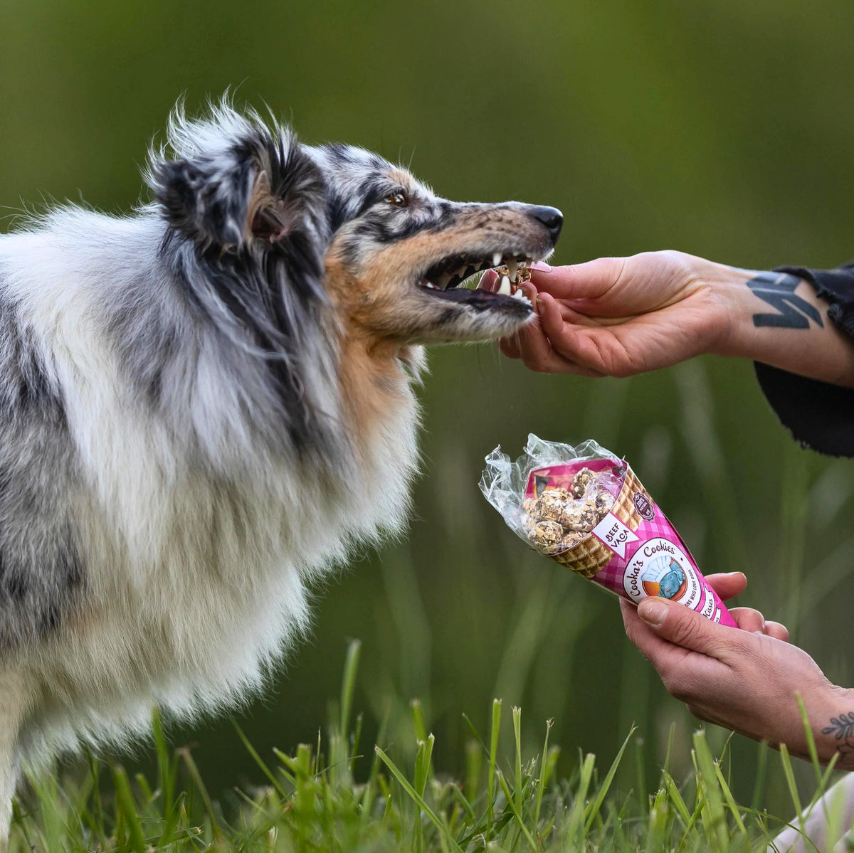 Rinder-Leckerli-Hörner für Hunde