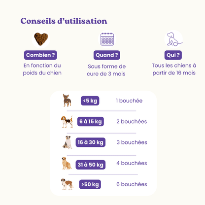 Suplemento alimentar anti-stress para cães