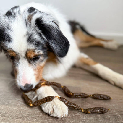 Saucisses séchées de bœuf pour chiens