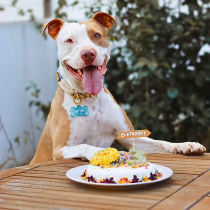 Confezione regalo con torta al pollo da cuocere per cani