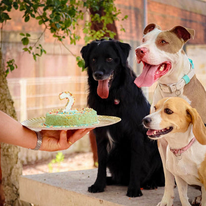 Confezione regalo con torta al pollo da cuocere per cani