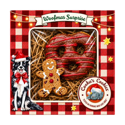 Caja de galletas navideñas de pavo para perros