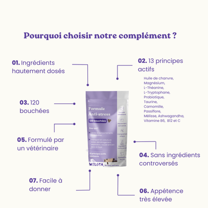 Complément alimentaire anti-stress pour chats