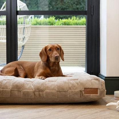 Orthopädische Memory-Schaum-Matratze für Hunde
