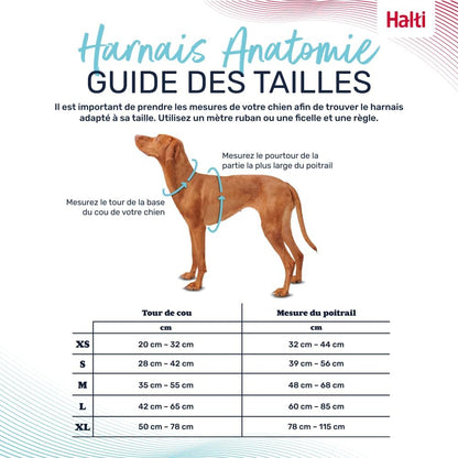 Peitoral anatómico ajustável para cães