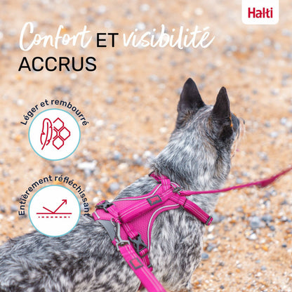 Peitoral anatómico ajustável para cães