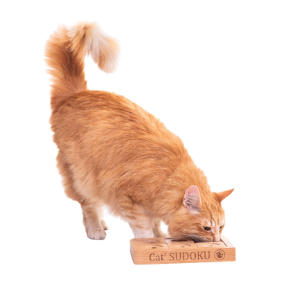 Jogo de raciocínio Sudoku avançado em madeira para cães e gatos pequenos