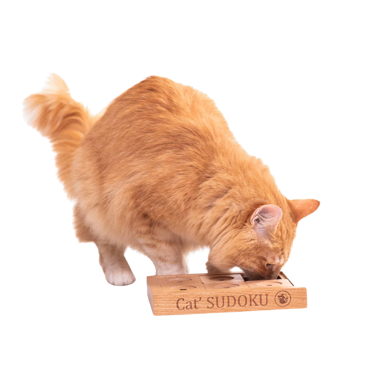 Jeu de réflexion Sudoku avancé en bois pour petits chiens et chats