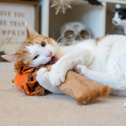 Brinquedo de Halloween em forma de espantalho com erva-dos-gatos para gatos