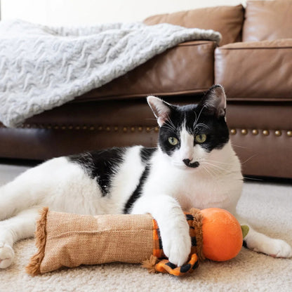 Brinquedo de Halloween em forma de espantalho com erva-dos-gatos para gatos