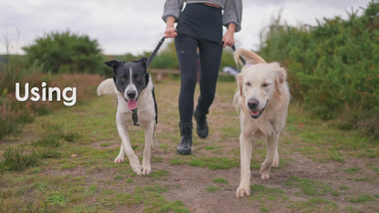 Guinzaglio educativo multiposizione da 2 m per cani