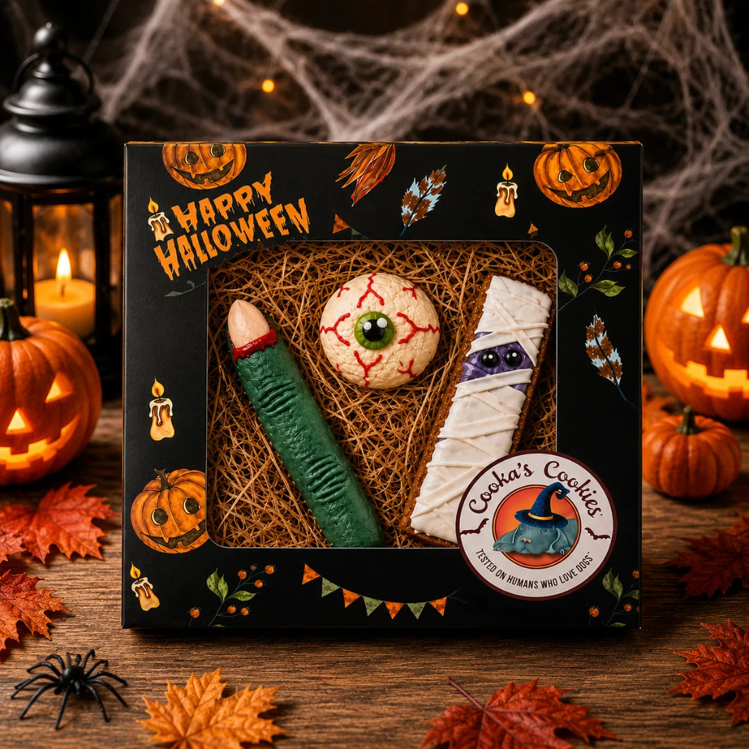 Caixa de biscoitos de Halloween para cães