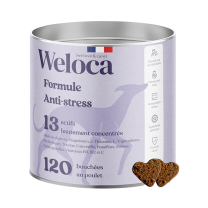 Suplemento alimentar anti-stress para cães